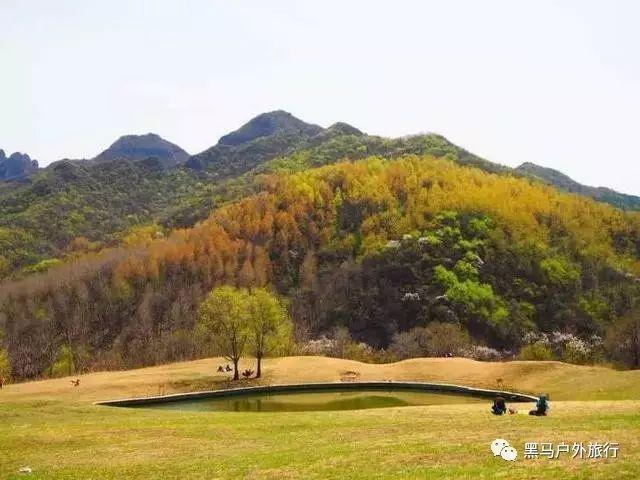 丛林森林逃生