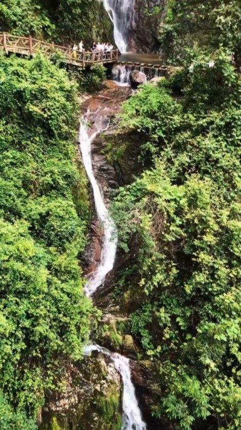 因大学毕业证问题无颜面对家人男子流浪十年，人生遇到挫折时你会选择逃避吗？什么才是最好的选择？游戏画面